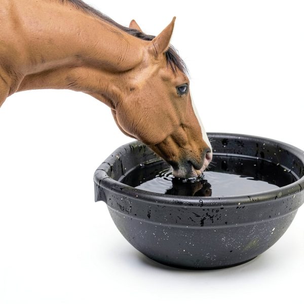 Horse Electrolyte Supplement Central Garden Pet 7.5 lb 40 Day Supply-2