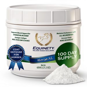 Horse XL Supplement by Equinety Amino Acid Formula 100 Day Supply-0