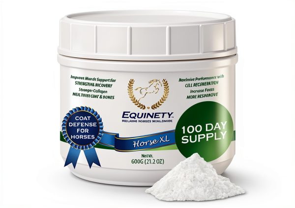 Horse XL Supplement by Equinety Amino Acid Formula 100 Day Supply-0
