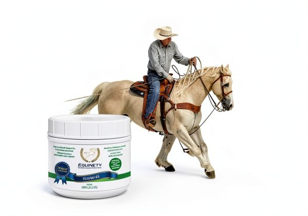 Horse XL Supplement by Equinety Amino Acid Formula 100 Day Supply-5