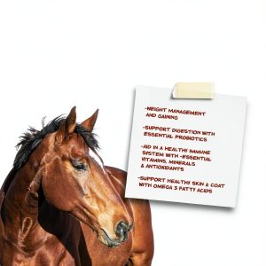 Manna Pro Weight Accelerator for Senior Horses Feed Topper 8 lb-1